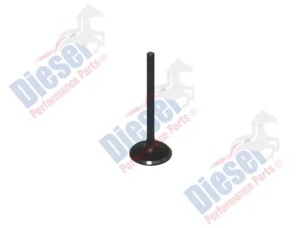 Valve Inlet  STD