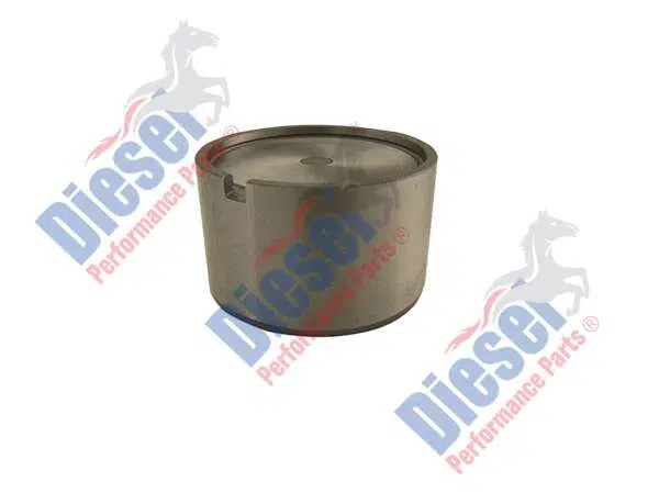 Camshaft  Followers/Buckets