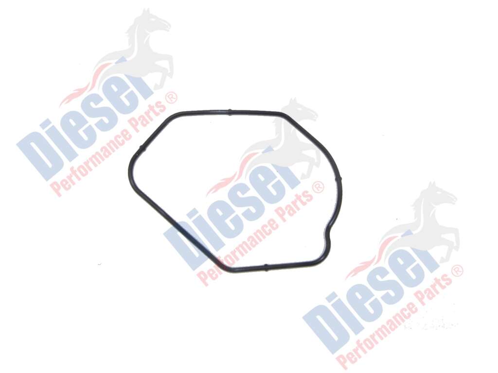 Oil Pump Oring Engine Australia