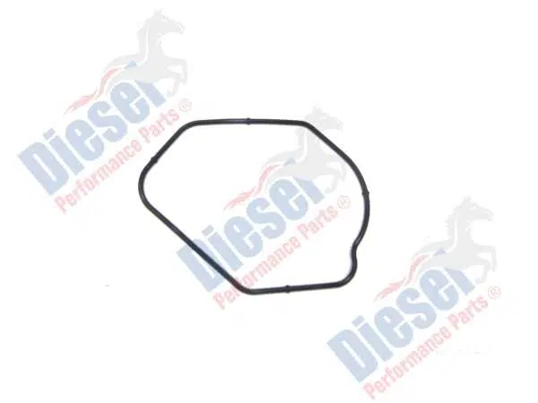 Oil Pump O-ring