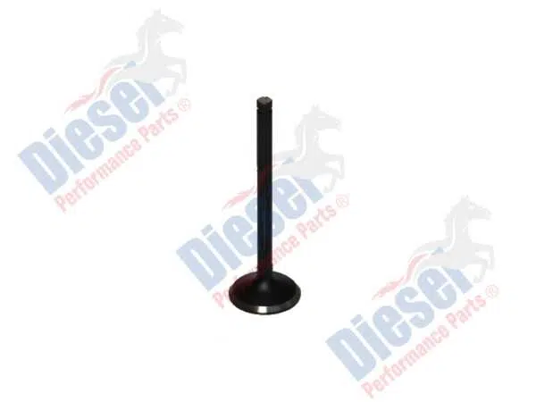 Valve Exhaust  STD