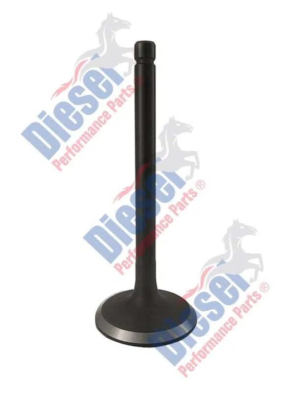 Valve Exhaust  STD