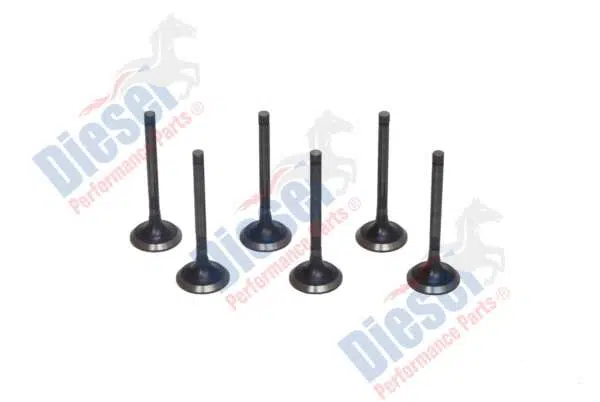 Valve Exhaust Performance 1.00 mm o/s