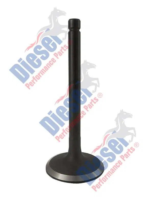 Valve Inlet  STD