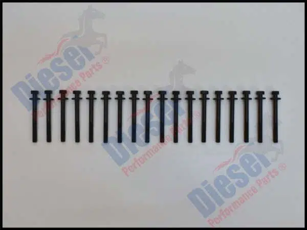 Bolts  Cylinder Head Set
