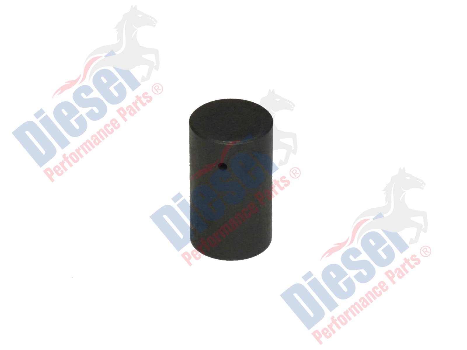 Camshaft Followers/Buckets Engine Australia