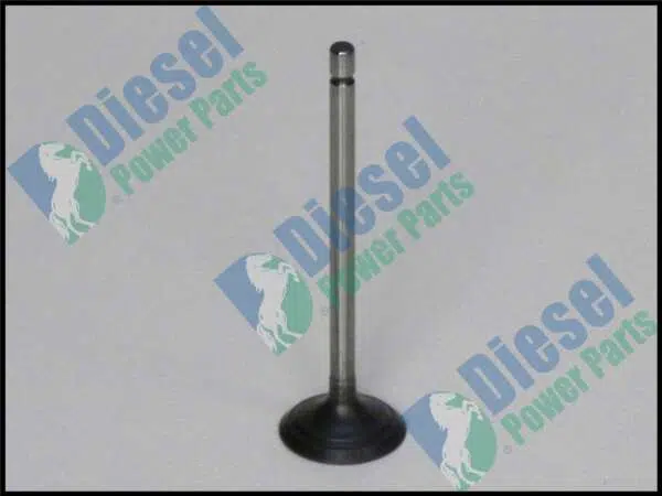 Valve  Inlet
