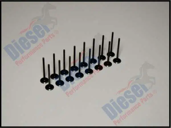 Valve  Inlet Performance