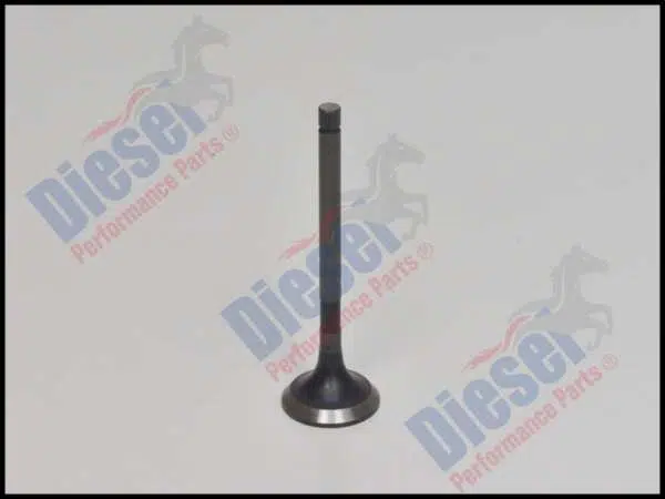 Valve Exhaust Performance  STD